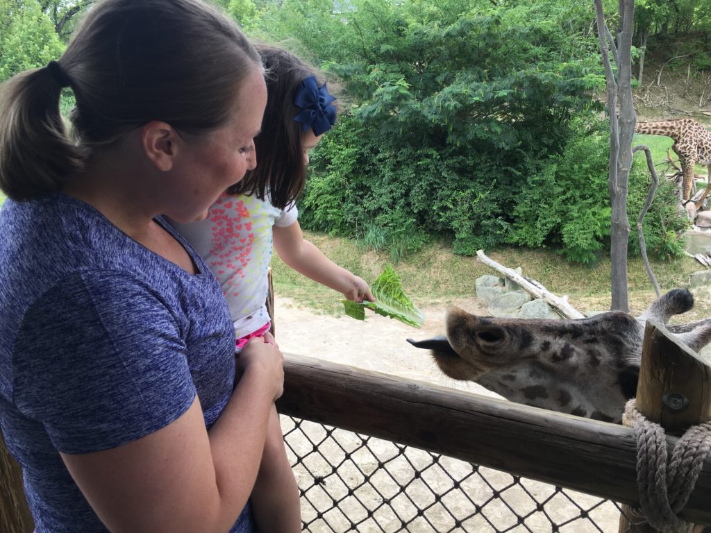 little girl and women feeding a giraffe 