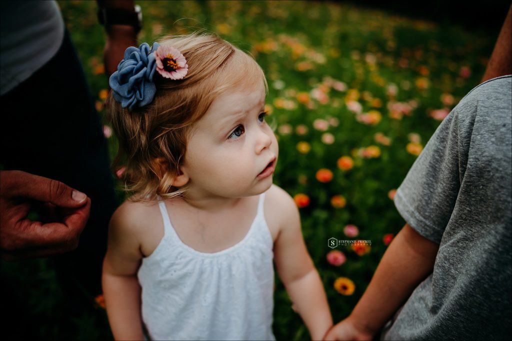 little girl holding her brother's hand in a flower field. 