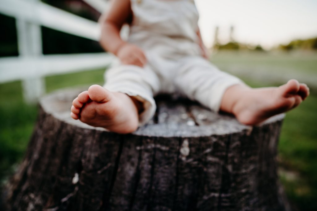 photo of a little boy toes in a tree stump in a field outside Cincinnati ohio
